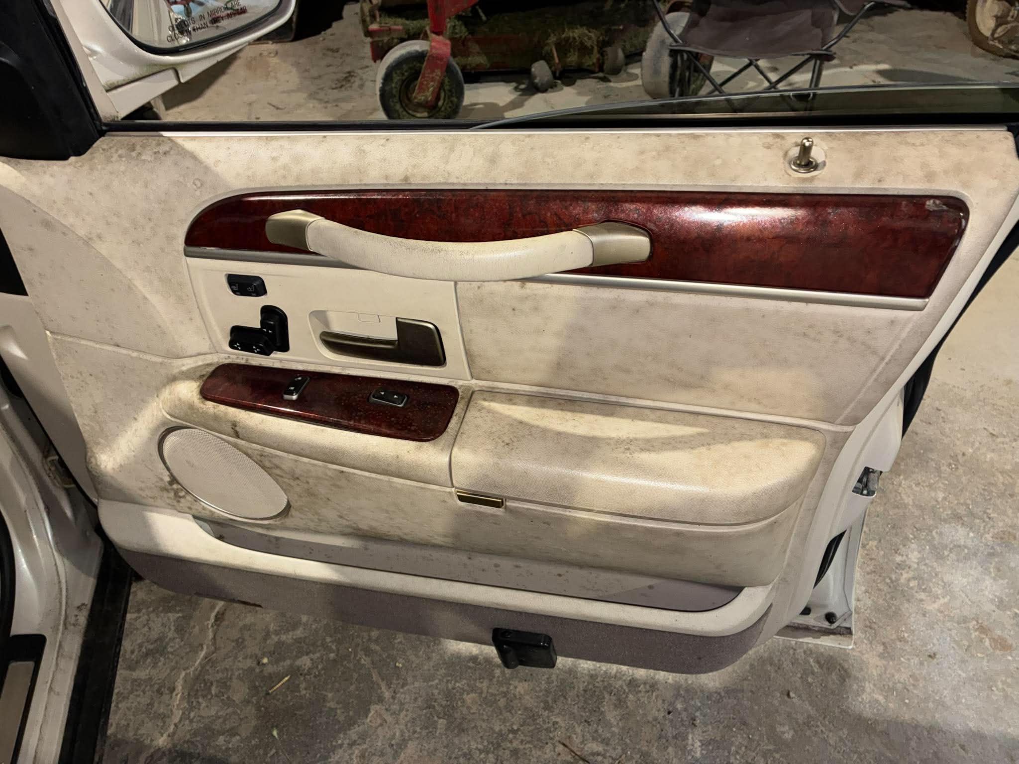 Interior door panel before detailing — dirty and stained