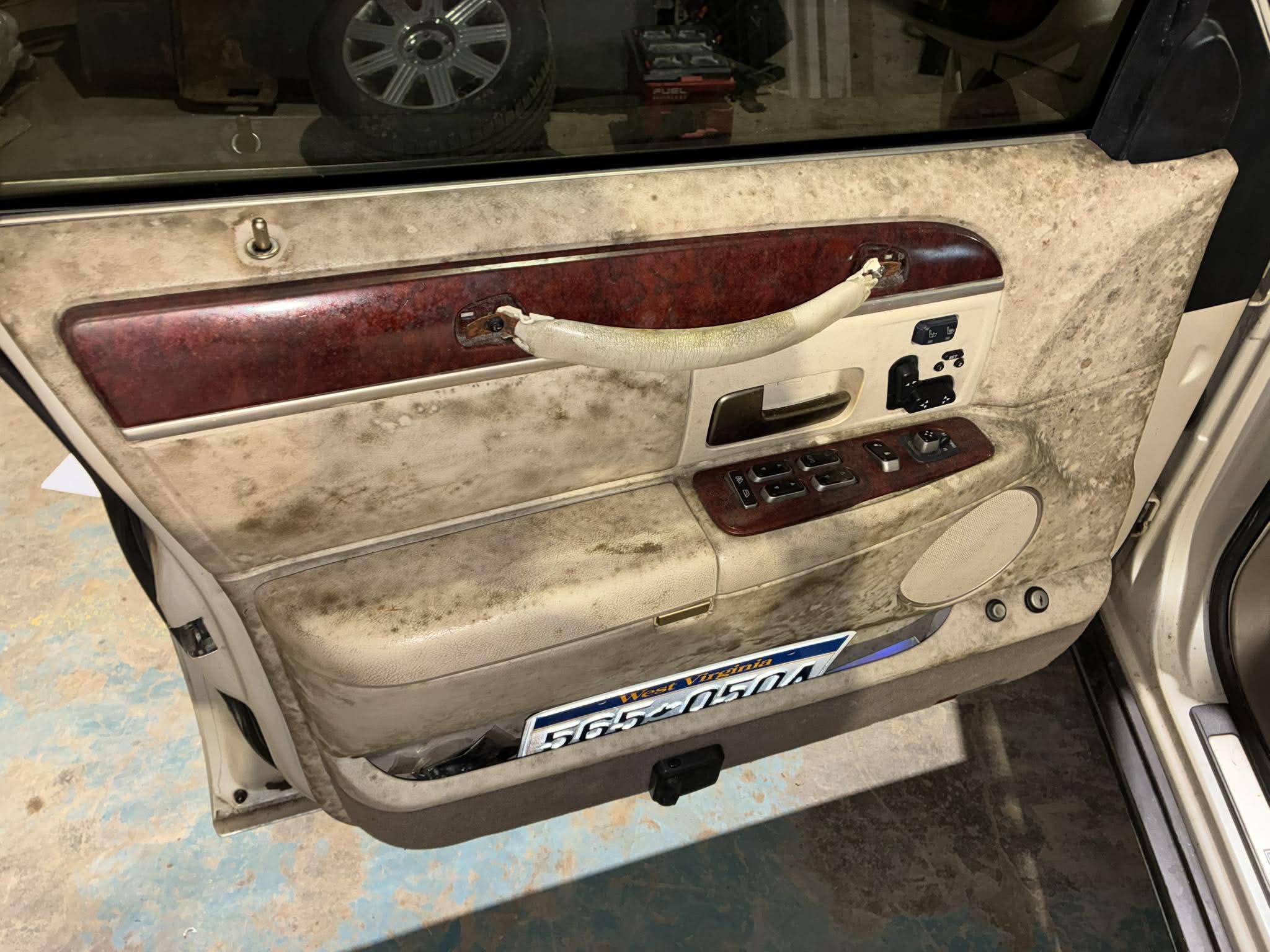 Driver door panel before detailing