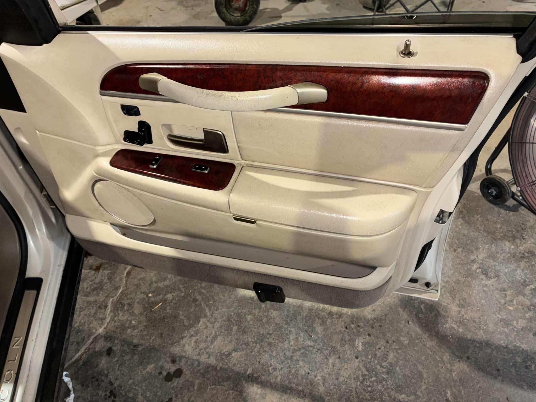 Interior door panel after detailing — clean